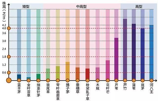 河南景观设计行业设计植物需要注重的问题有哪些？